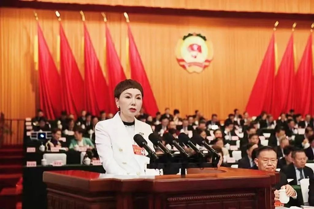 新蓉电缆李红燕总经理作为委员代表在四川省政协十三届二次会议第二次全体会议上建议发言